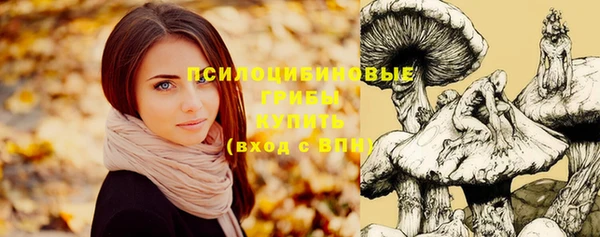дурь Баксан