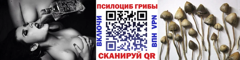 Галлюциногенные грибы ЛСД Буйнакск