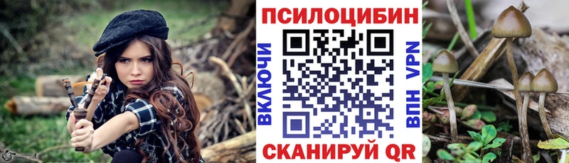 Псилоцибиновые грибы мицелий  Буйнакск 